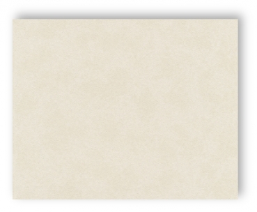 AS Cration Versace Wallpaper Tapete 935911