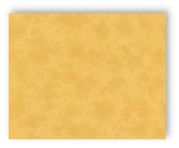 AS Cration Versace Wallpaper Tapete 935702