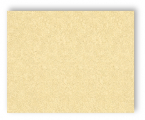 AS Cration Versace Wallpaper Tapete 935821