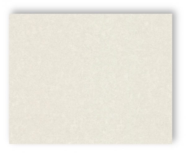 AS Cration Versace Wallpaper Tapete 935822