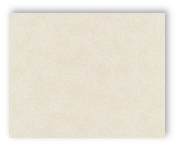 AS Cration Versace Wallpaper Tapete 935911